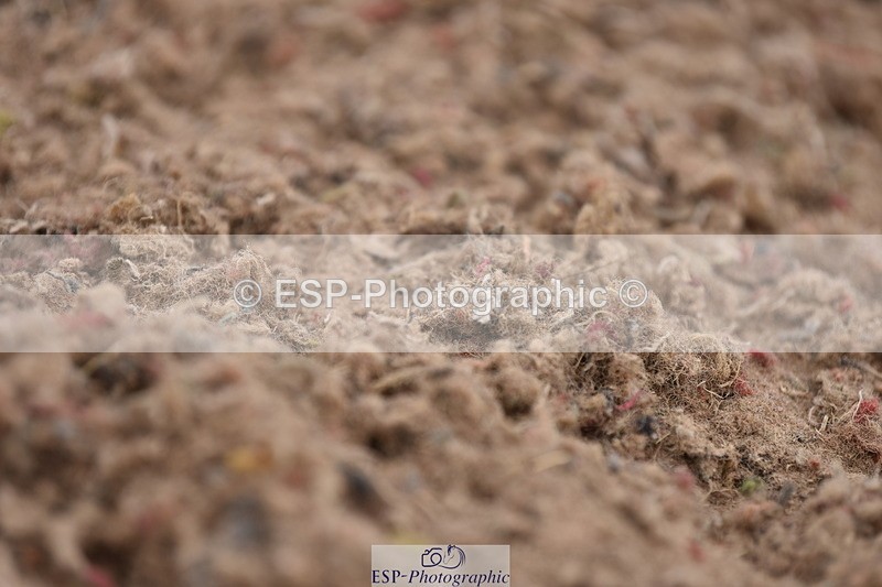 240623A-111004-17025 - Cls 47 BD Novice 22