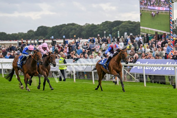 220824-Race 4-Content-7390 - Race 4 3.35pm Pertemps Network Yorkshire Oaks