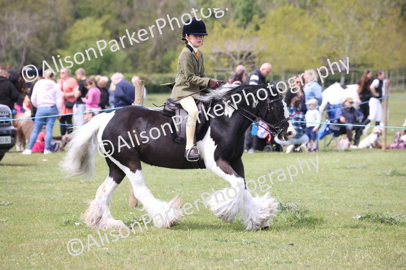 20260426-2957 - Class 33 - Best Pony 14.2hh and Under