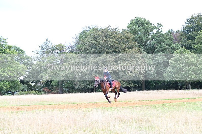 DSC_8905 - Time at Statue 14:33 to 15:10