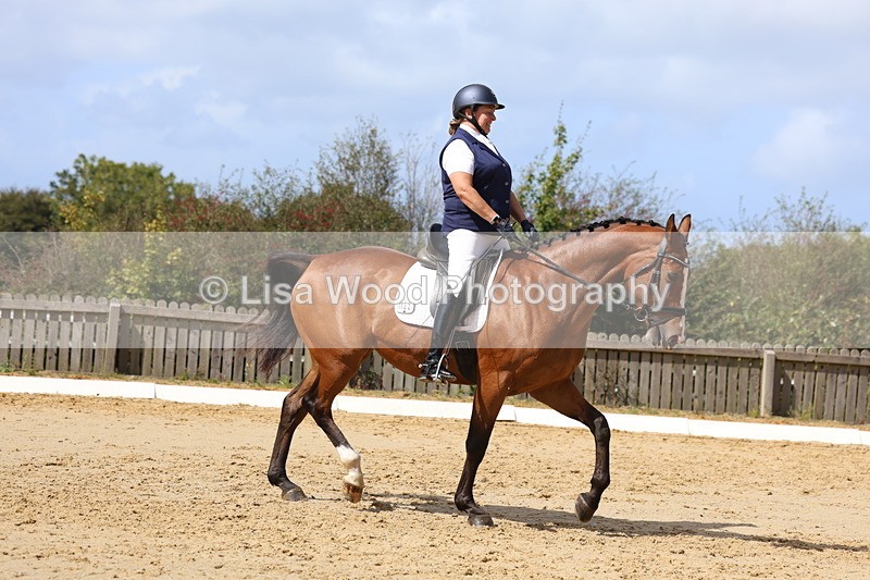 3E7A3650 - Class 8: Novice 6 Section A Championship