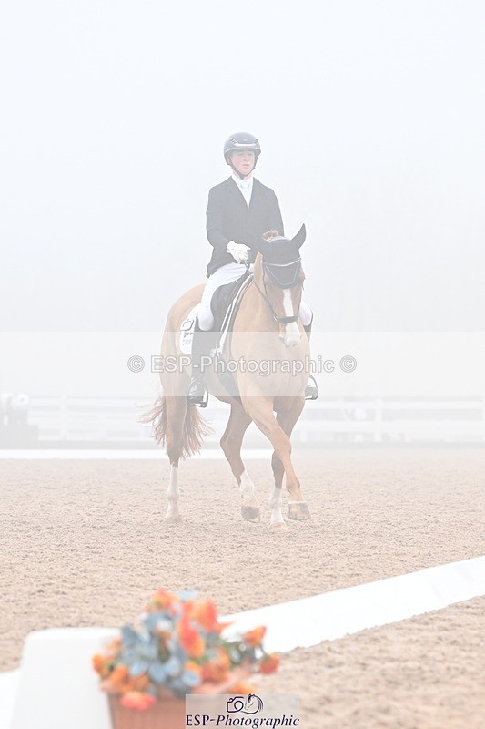 240217A-103236-01109 - 273-Tom.Carter-Newton.Dreamcatcher