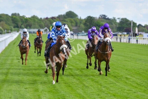 yr11052022r7-20 - Race 7 5.15pm British Stallion Studs EBF Novice Stakes