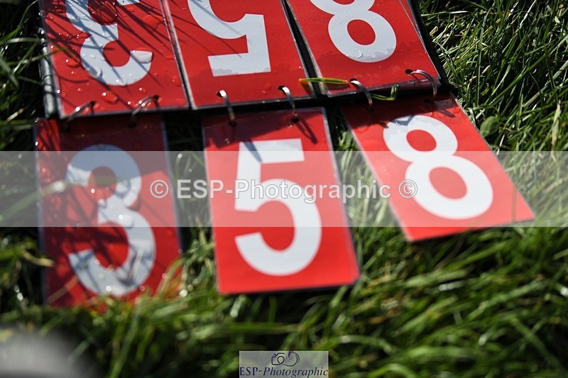 231022-152622-29151 - 358-ROYALE.MESSENGER-Anna.Singer-XC