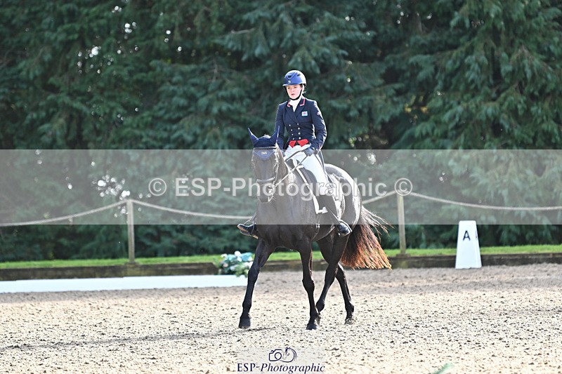 241023-143649-00558 - 002-Ellie.Fredericks-BRITANNIA'S.OLIVE