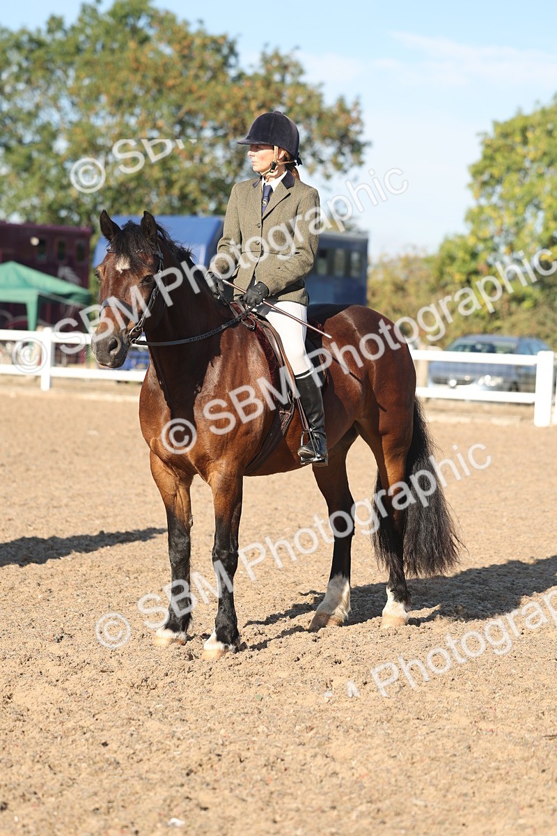 SBM_11083 - Class 302 - Ridden M&M Large Breeds