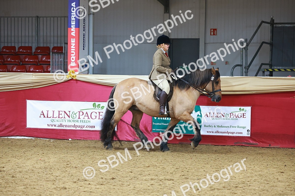 SBM_09366