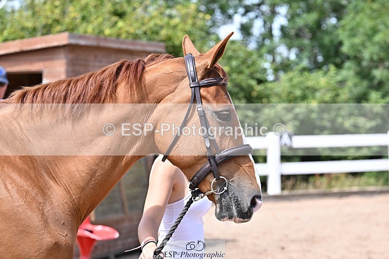 250716-124744-00167 - Trot Up 12.30 to 1.30