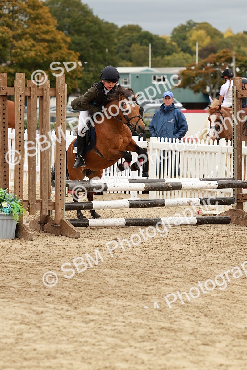 SBM_67019 - J13 - Junior Pony 60cm Championship