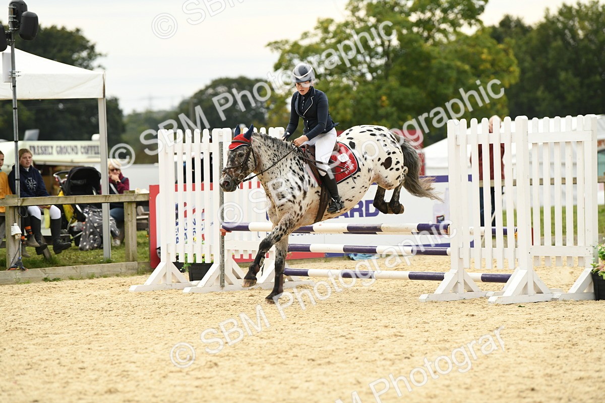 SBM_75667 - Supreme Championship