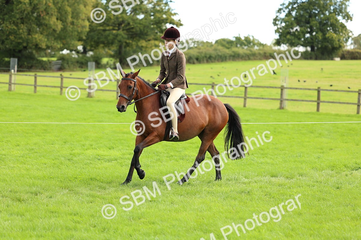 SBM_45402 - S33 - Working Hunter Pony