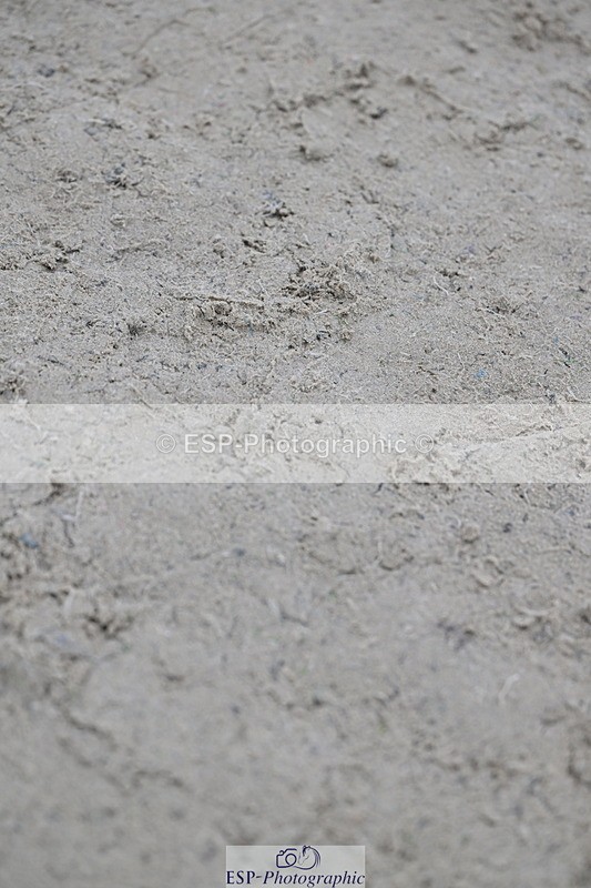 251109A-152420-01217 - Cls 06 60cm SJ