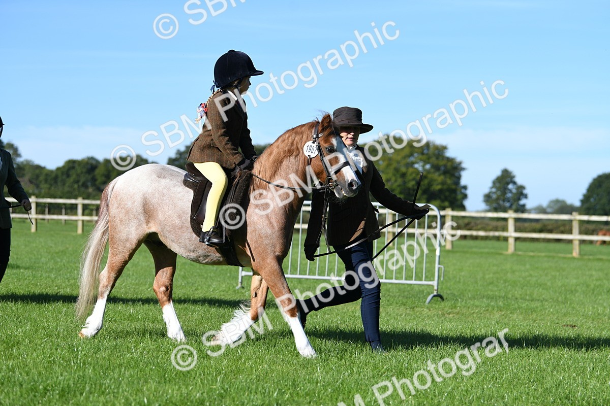 SBM_35516 - S17 - Condition & Turnout - Lead Rein
