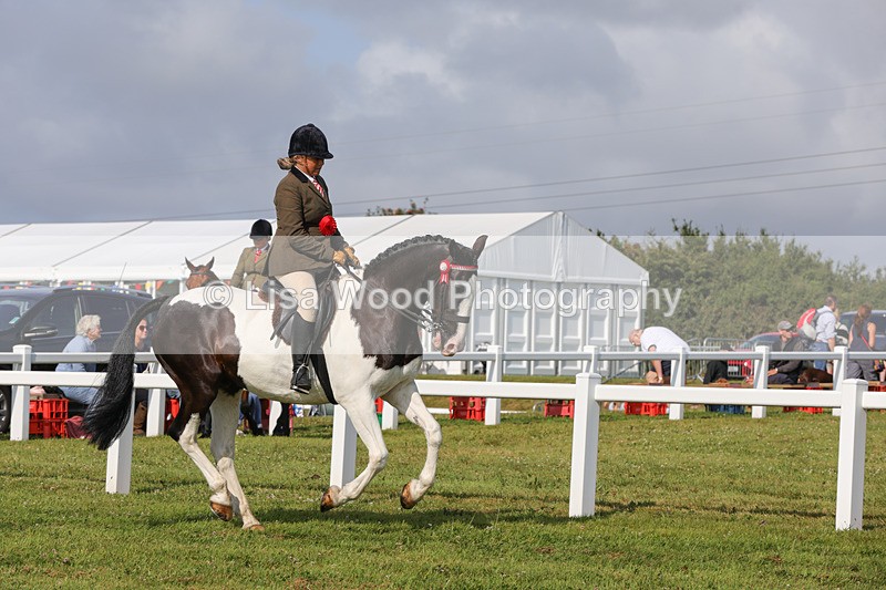 1X9A3483 - Skewbald and Piebald Ridden Championship