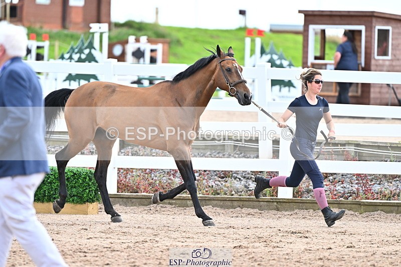 240718A-105325-01984 - Trot Up 2pm to 3pm - This folder is not in time order