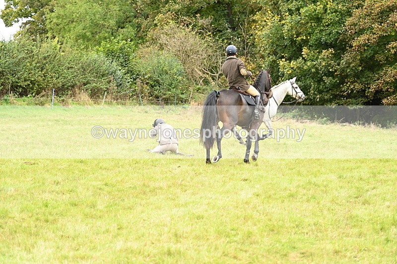 WJ7_4157 - Camera 1 Line 2