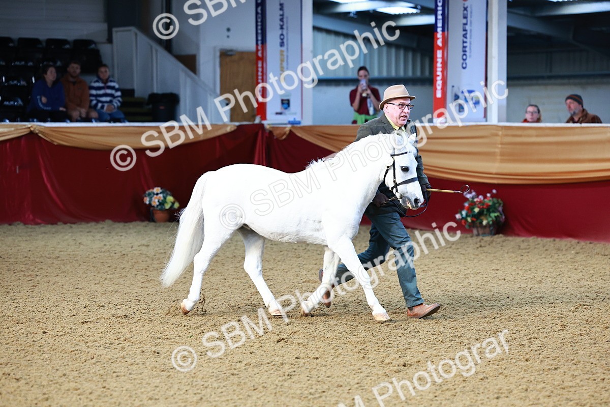 SBM_21739 - Class 901 - Supreme Final - IH  Diamond