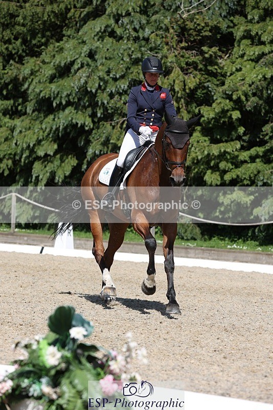 230526-152952-06716 - 381-CAROLINES_AIR_KM-Izzy_Taylor-WEDTrotUp+DR