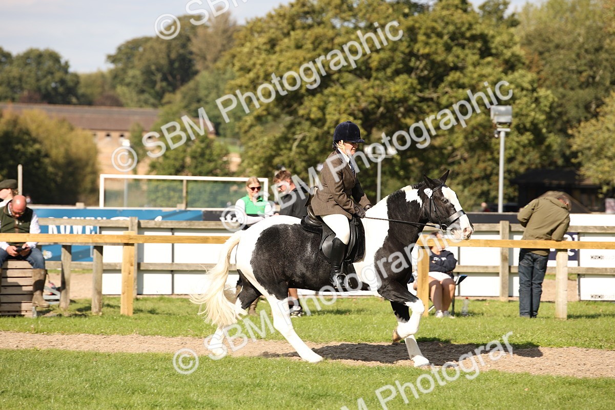 SBM_50076 - S26 - Young Veteran - Ridden