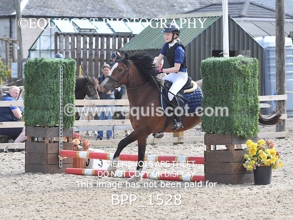 BPP_1528 - DERBY CLASS 3 - 40CM