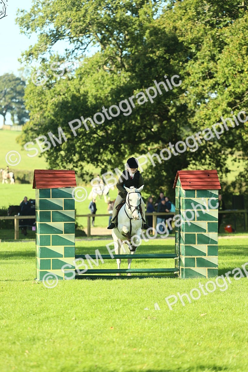 SBM_36288 - S29 - Novice & Newcomers Working Hunter Pony