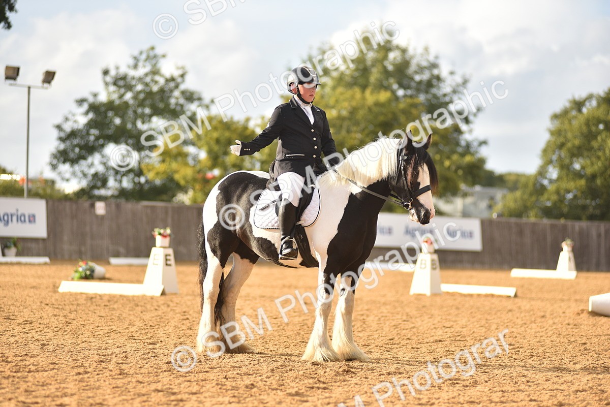 SBM_29778 - D16 -Small Tour Championship Novice 2