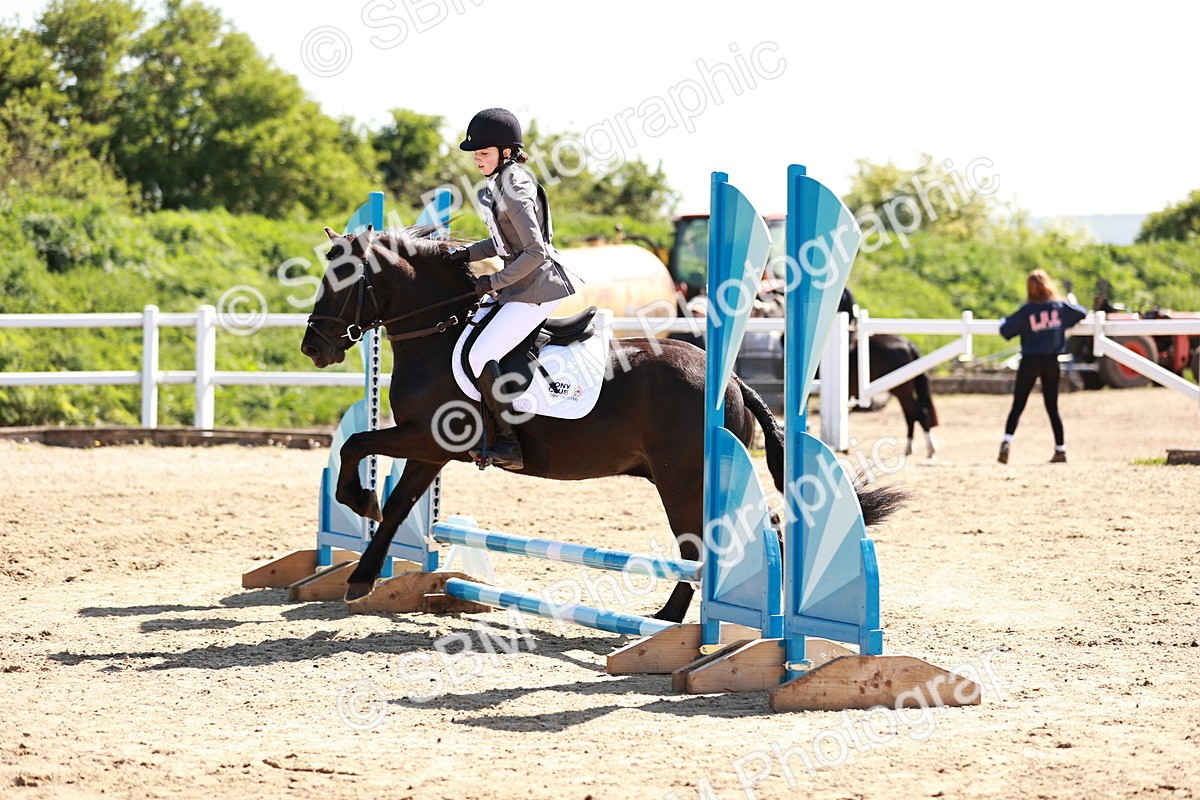 SBM_006985 - Class 2 - 50cm