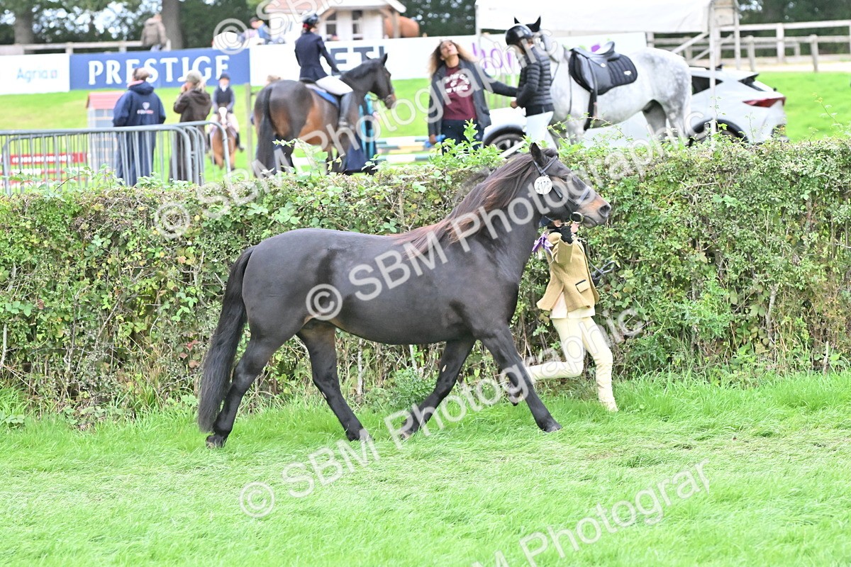 SBM_66796 - S41 - Junior Handler 8 Years & Under