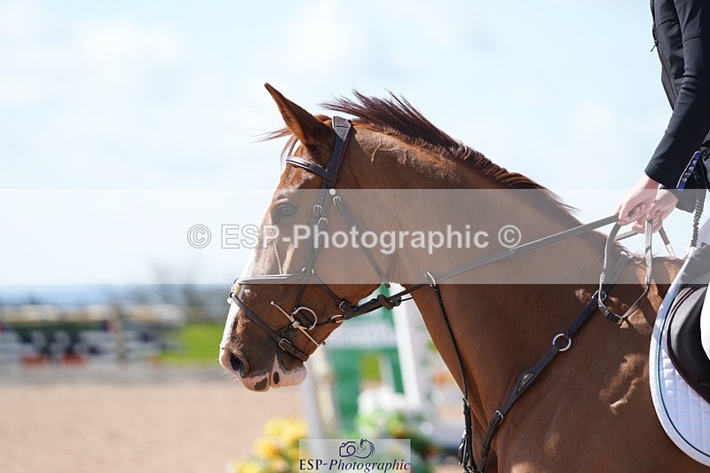 260328-121148-03336 - Cls 15 Foxhunter