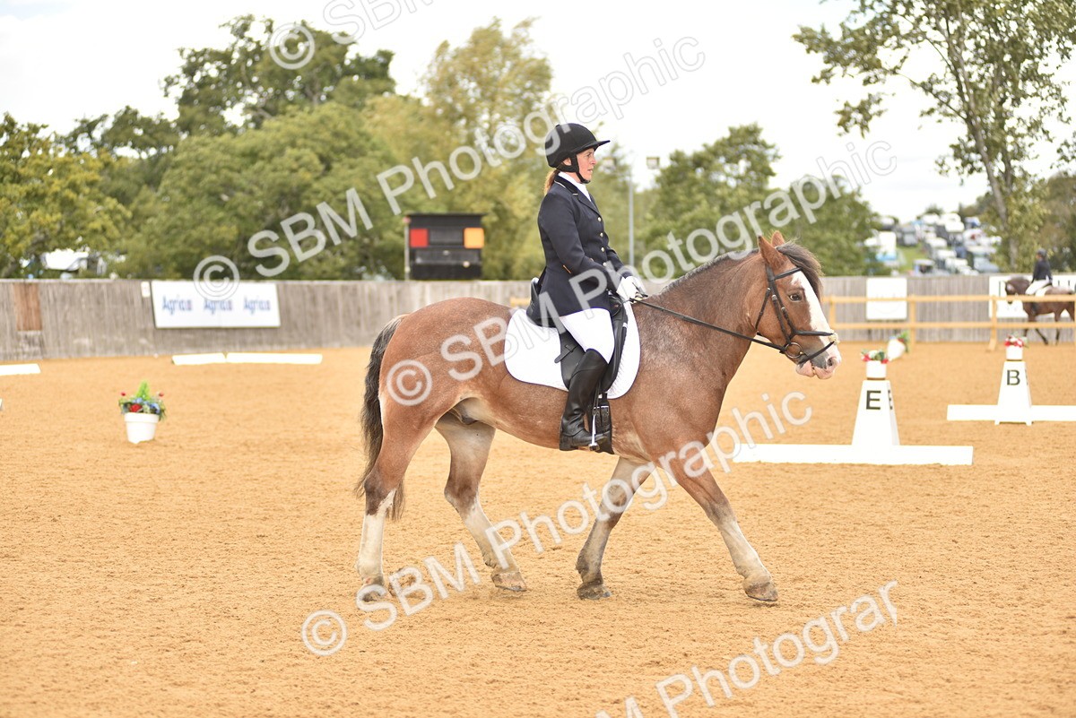 SBM_19881 - D4 - Small Tour Championship Intro 4