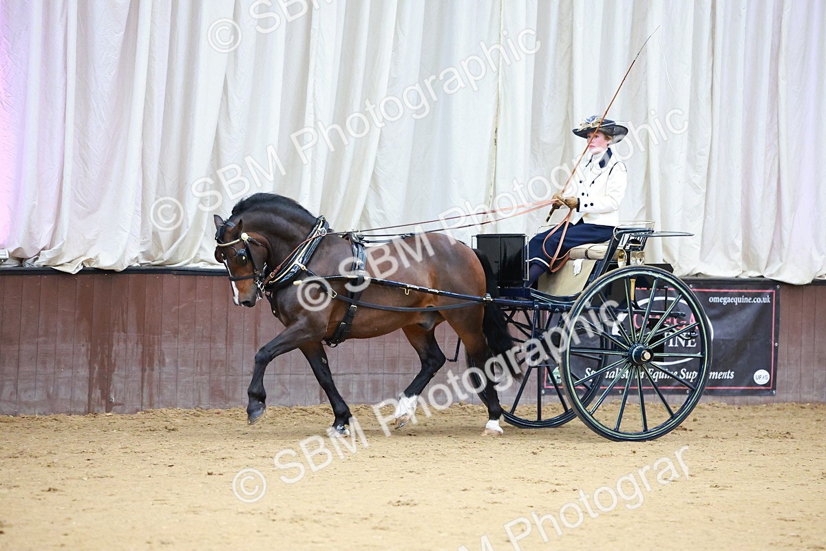 SBM_000117 - Class 3 - Alison Thomas Memorial Lady Whip