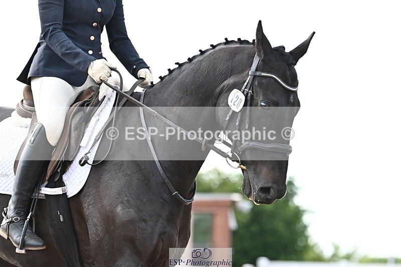 240622A-180330-15462 - Cls 7B+C Elementary 44 RoR