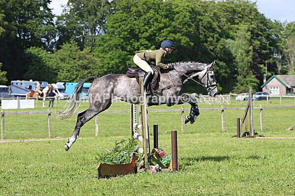 IMG_4865 - Working Hunter