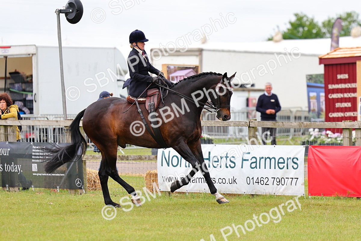 SBM_02827 - Class 9-11 Side Saddle including LIHS Rising Star Ladies Show Horse