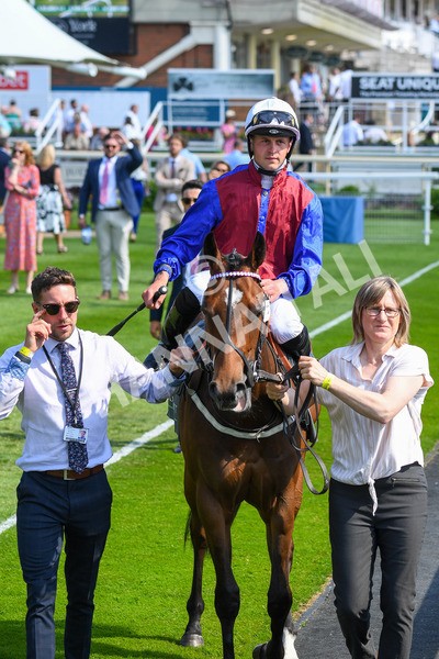 160623-Race 5-Harvanna-0563 - Race 5 4.10pm Juddmonte British EBF Fillies' Restricted Novice Stakes