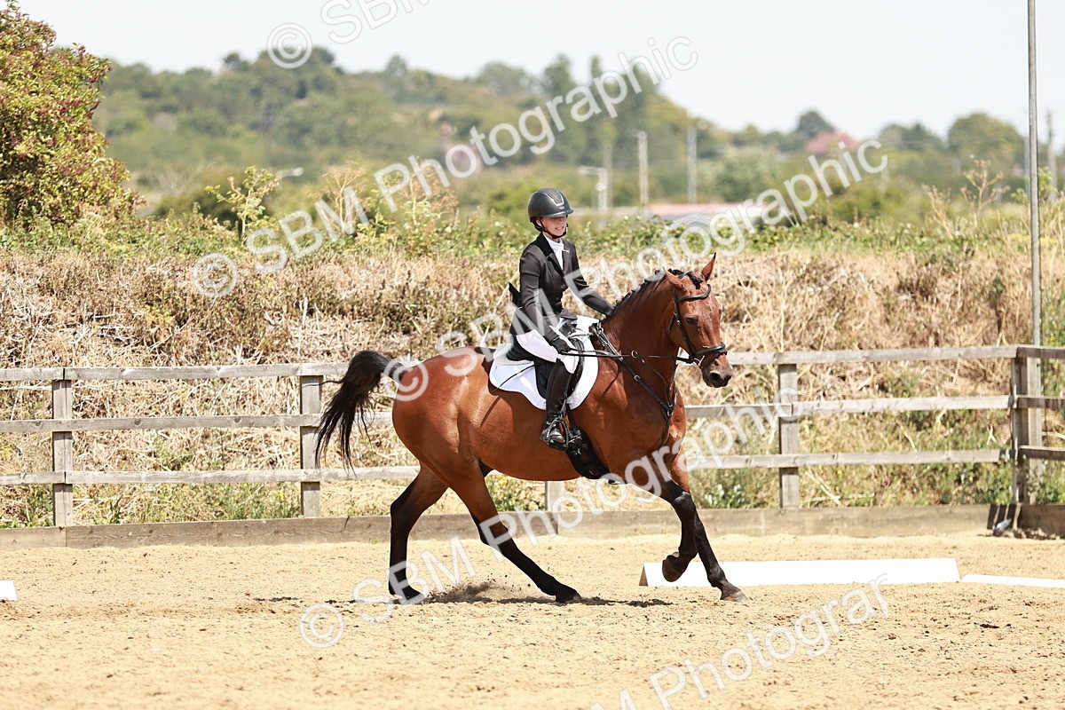 SBM_003541