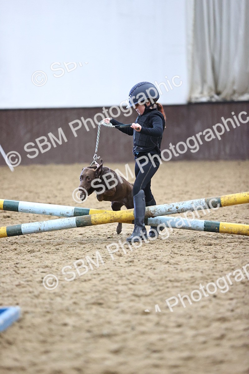 SBM_001389 - Class 3 - Horse & Hound 60cm