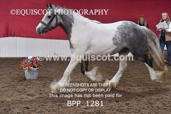 BPP_1281 - MORNING 9AM - 12PM