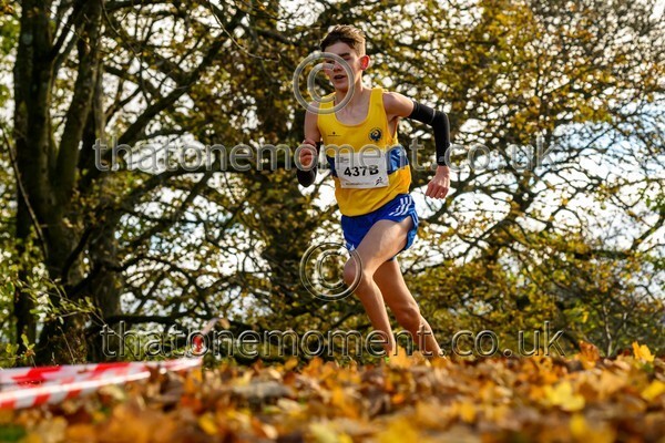 NatRel25-914546 - Young Male Set Two