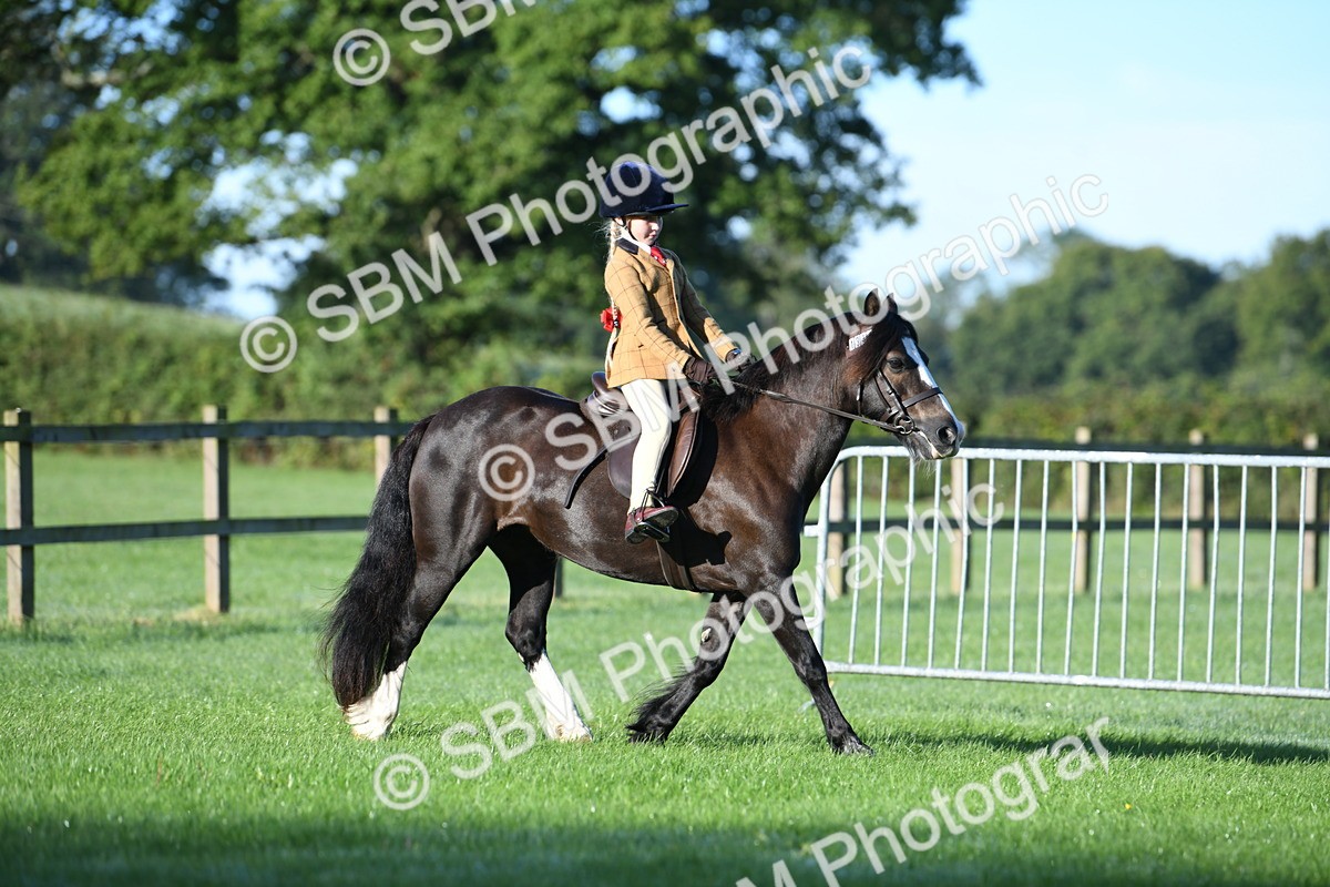 SBM_33939 - S16 - Condition & Turnout - Ridden