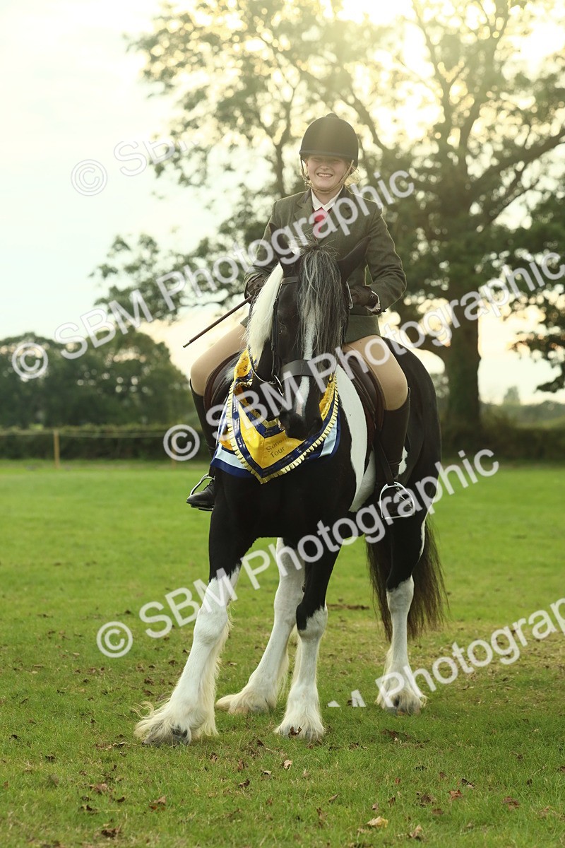 SBM_75331 - Super Supreme Championship