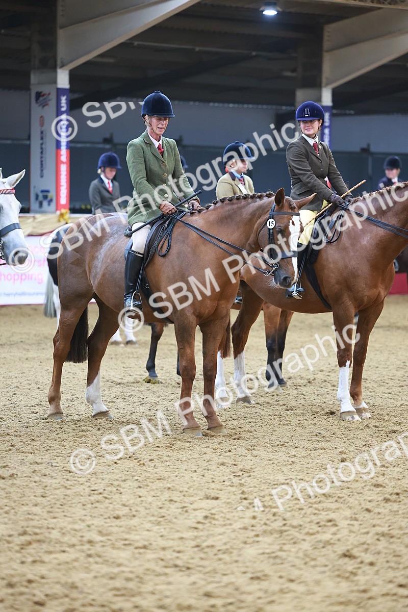 SBM_12678 - Class 103 - HOYS Veteran Qualifier - Ridden Pre Vet