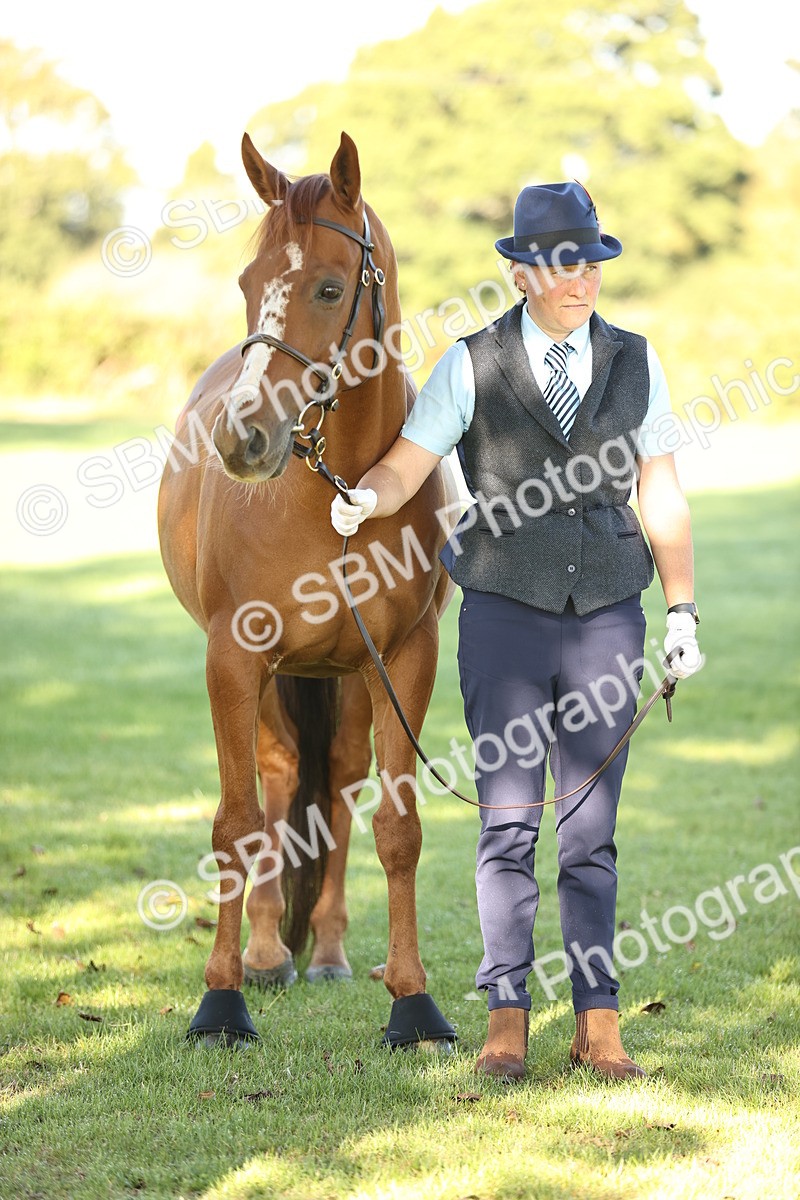 SBM_15750 - S1 - TSR in Hand Horse & Pony Showing