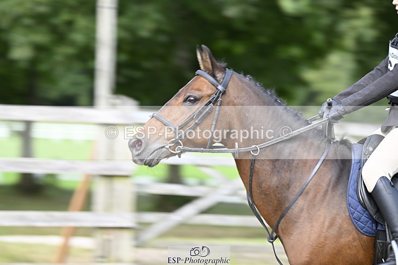 240823X-152728-18703 - 70cm R2 15.20 to 16.40