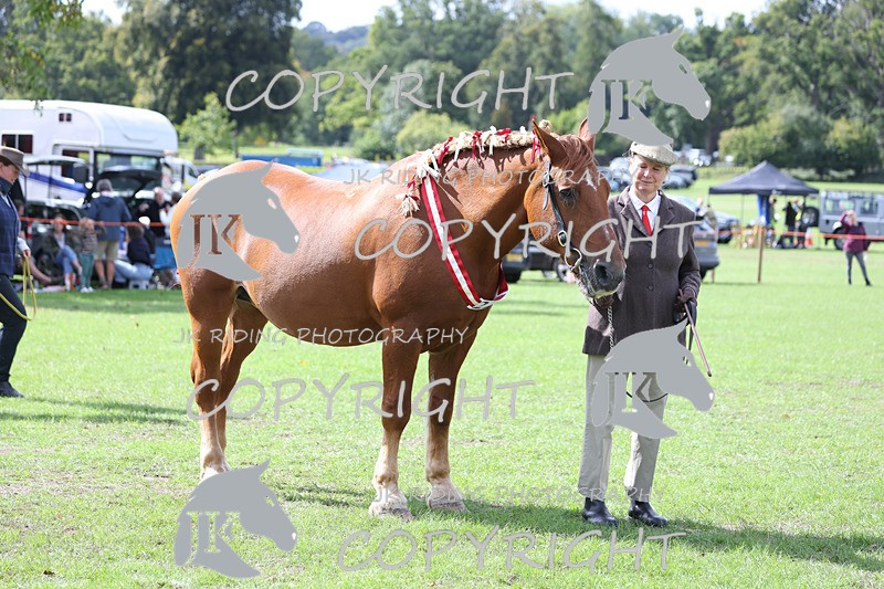 APP_3261 - Class 4 Veterans