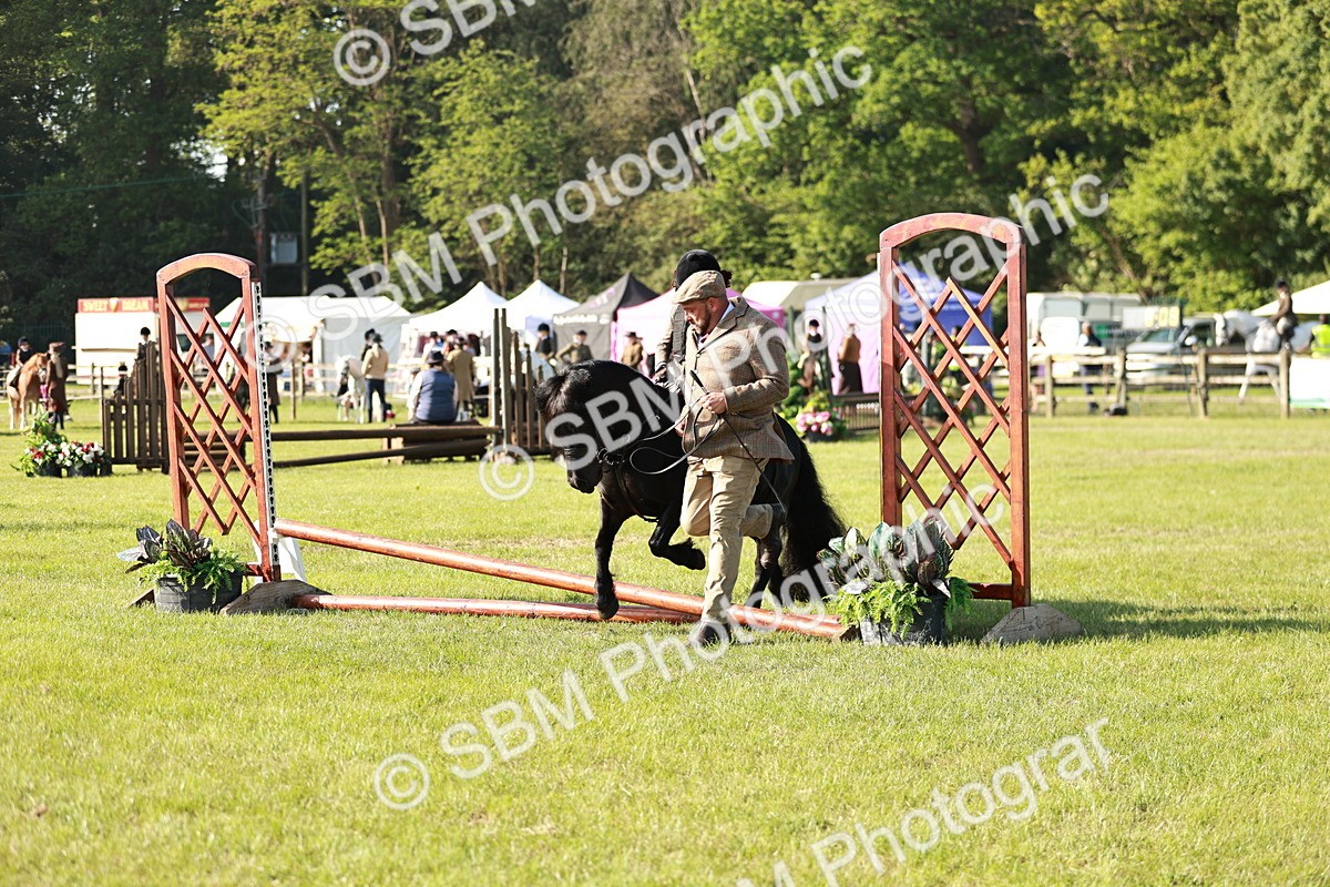 SBM_11172 - Class 106-107 - BSPS LIHS Working Sports Pony