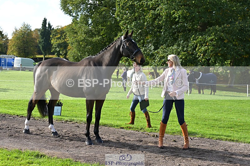 241023-130716-00081 - 056-Claire.Deuten-KILBUNNY.BLUE.BIRD