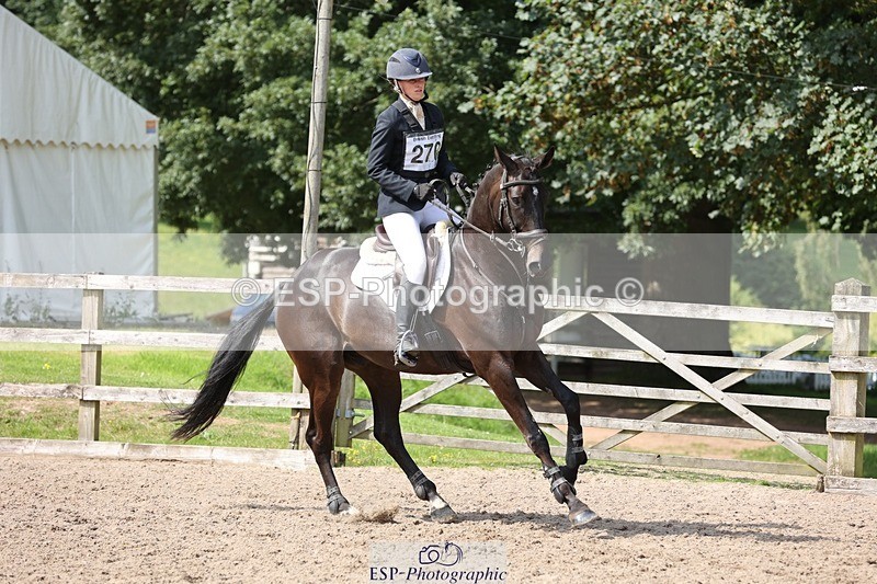 240803-153309-08938 - 270-Taggy_Forester-Bennett-BONZA_MOORTHANROYAL