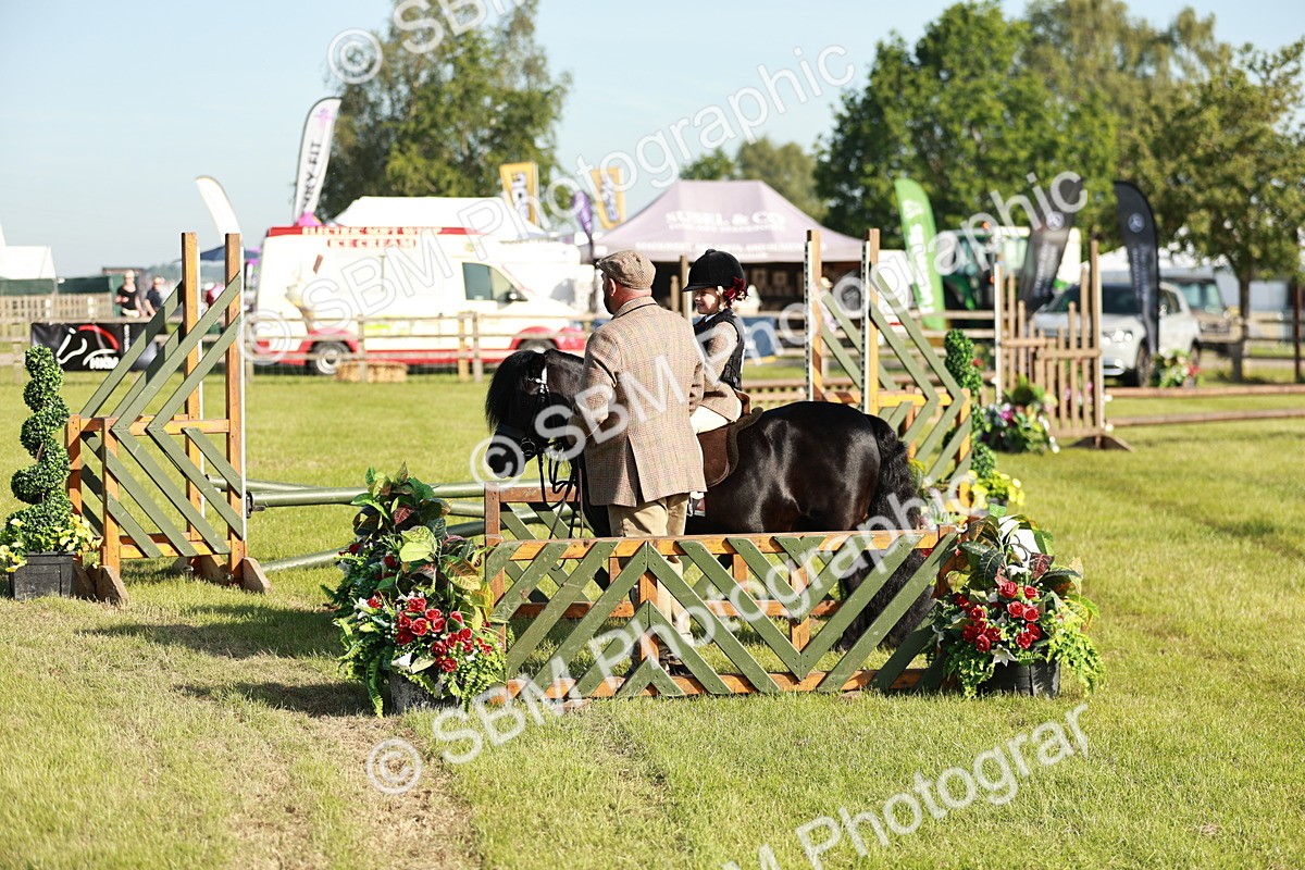SBM_11169 - Class 106-107 - BSPS LIHS Working Sports Pony