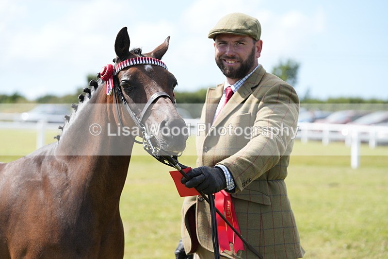 DSC07406 - Class 69: NPS Show Pony 4 years and over